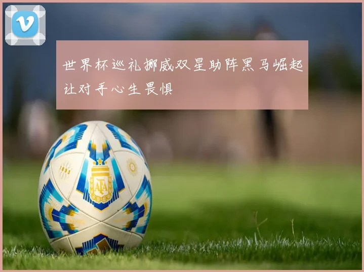 世界杯巡礼挪威双星助阵黑马崛起让对手心生畏惧